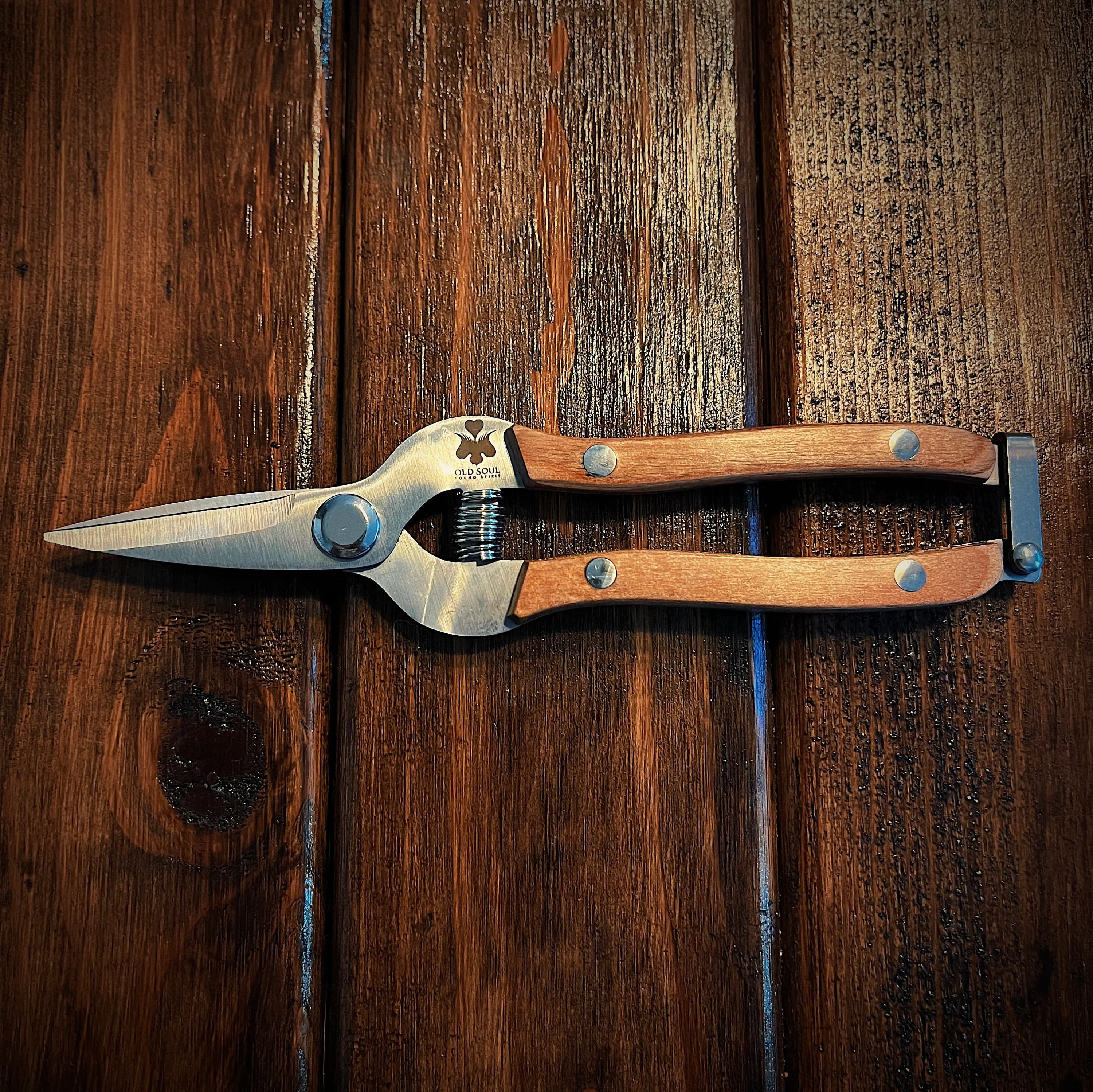 Plant Pruners, Garden Pruners, Clippers, Straight Pruners, Gift Pruners, Gardener Gift, Plant Lover Gift